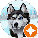 Alinakardes profile picture